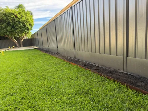 Close-up of Sir Walter texture